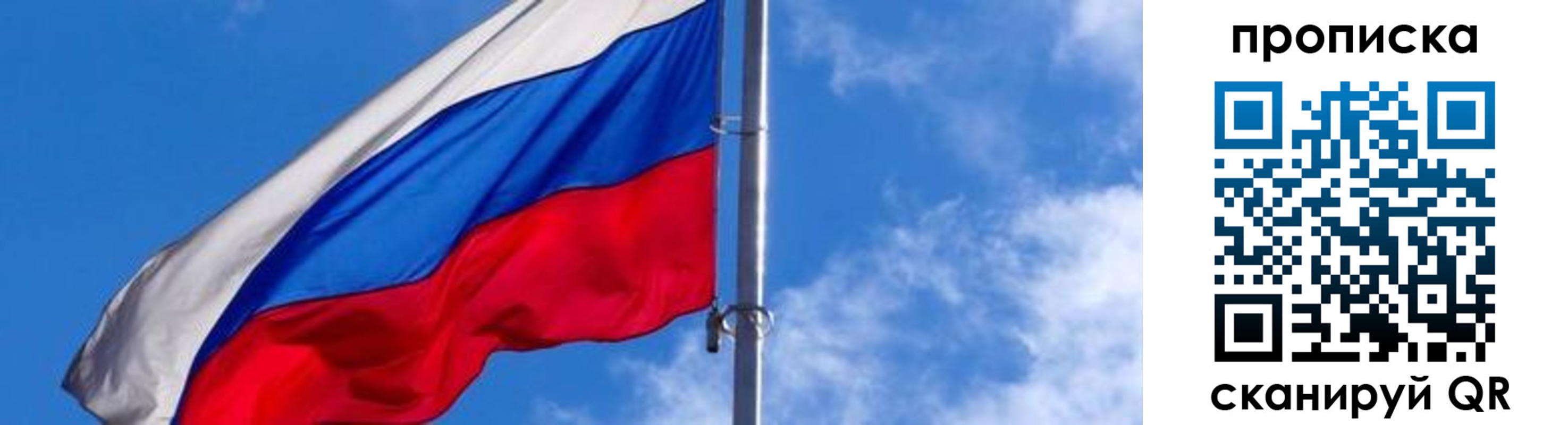 прописка поиск в Мамадыше